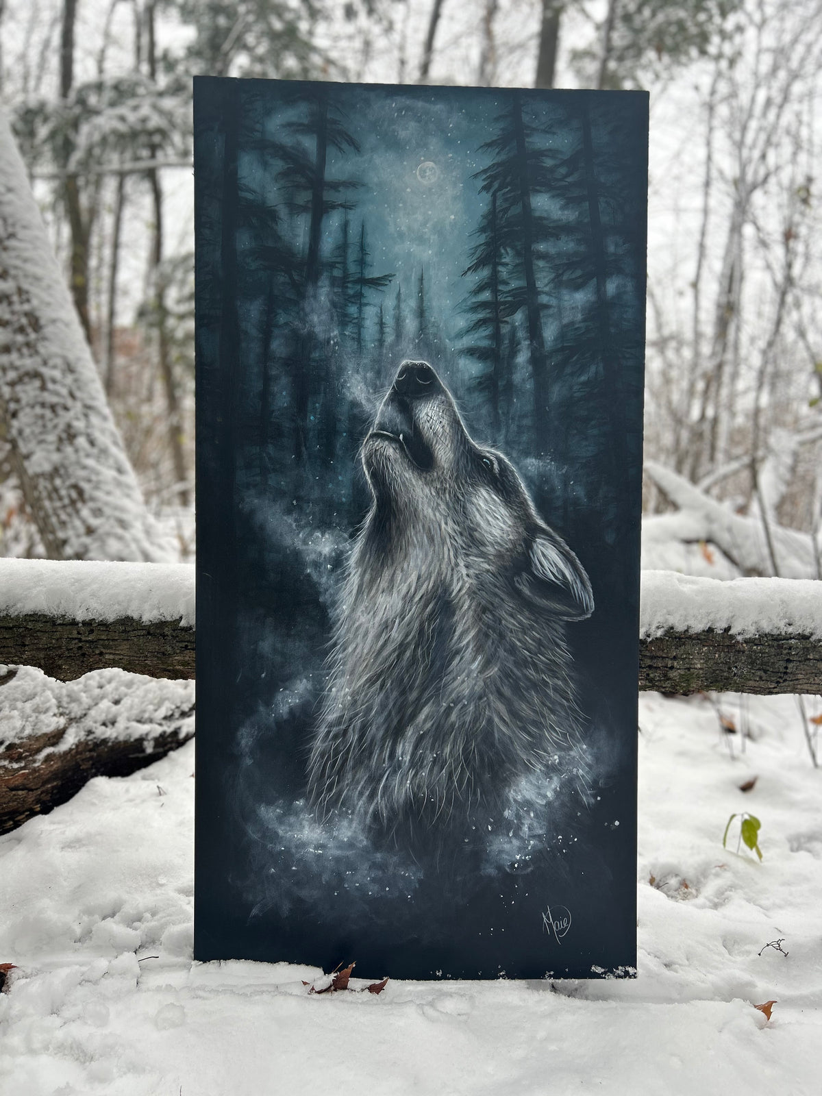 MOONLIGHT 📍Available at Parc Oméga, in Montebello.