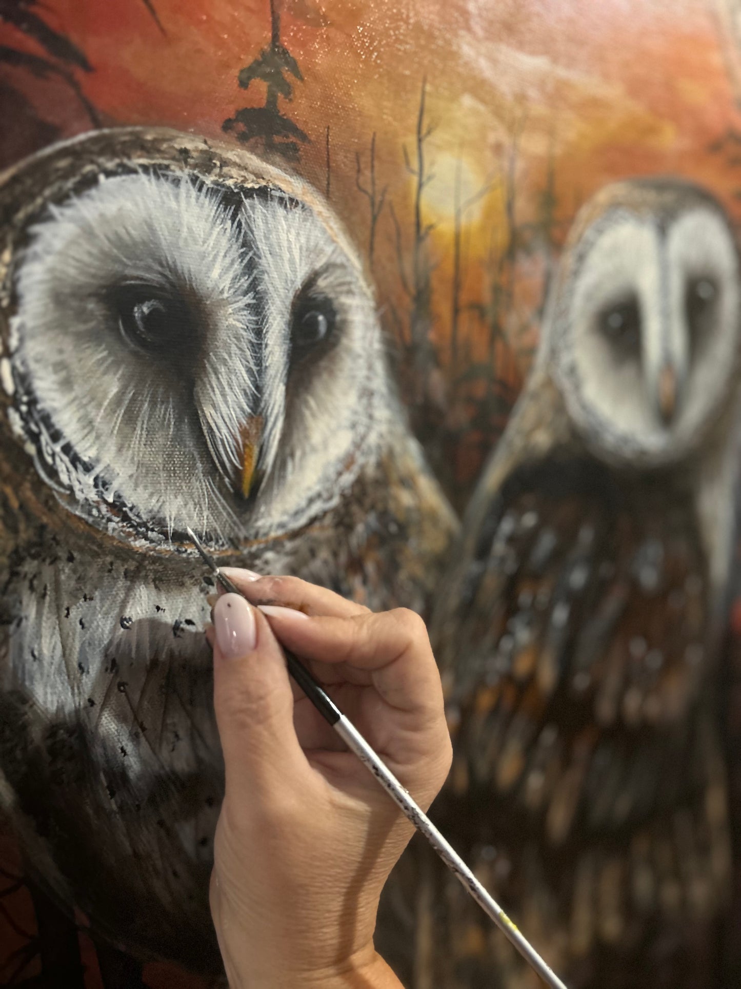 LES VEILLEUSES DE LUMIÈRE