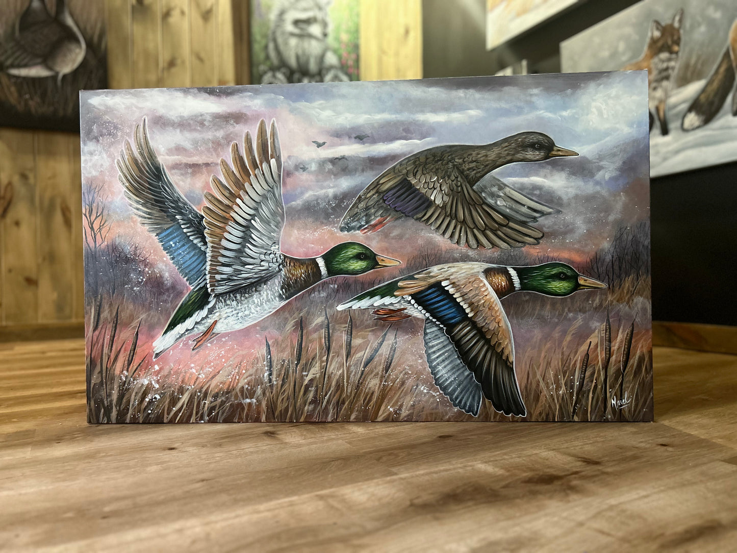 WILD FREEDOM