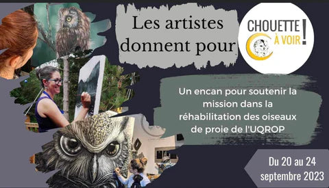 Les artistes donnent à chouette à voir 2023