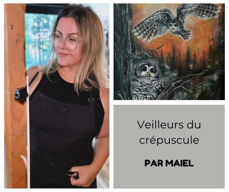 Encan les artistes donnent à chouette à voir 2025