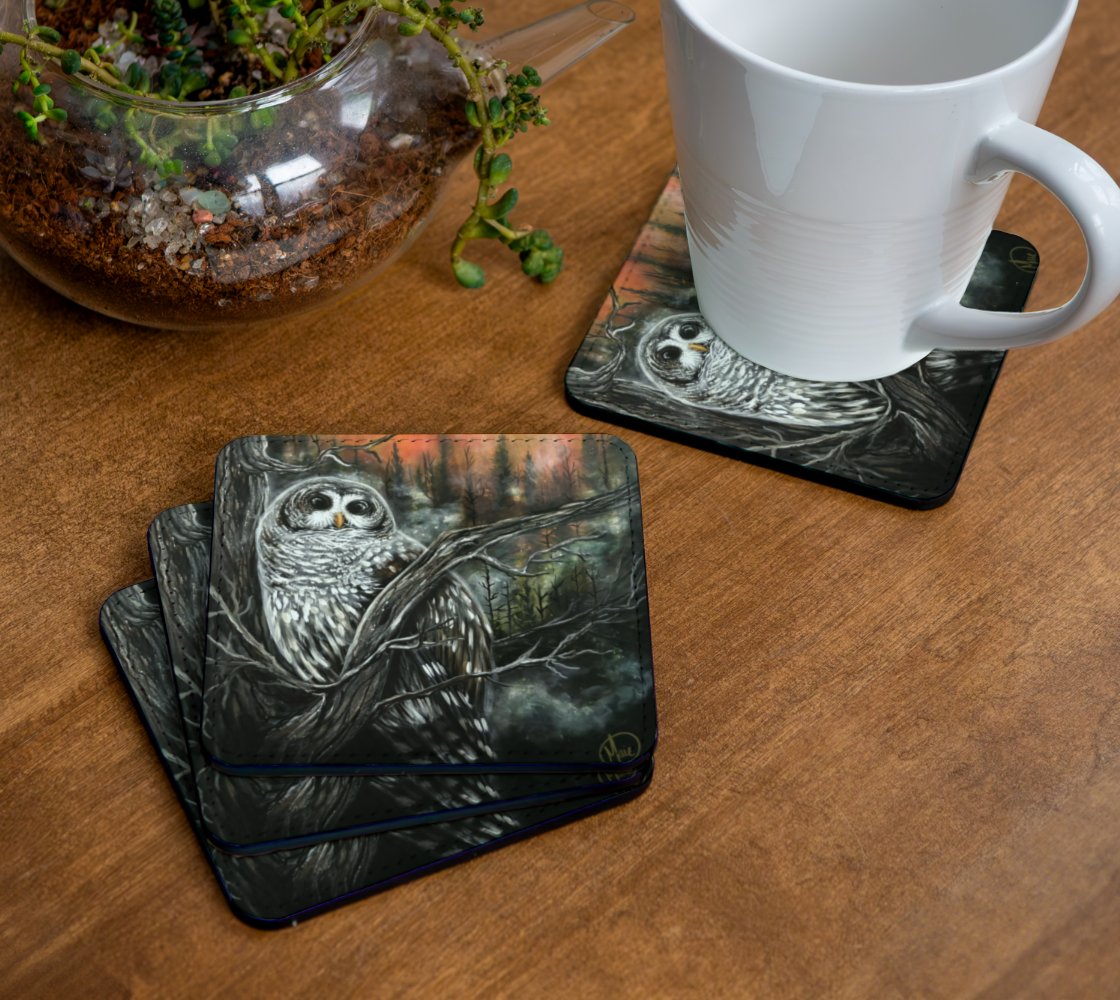 4 Sous-verres Chouette