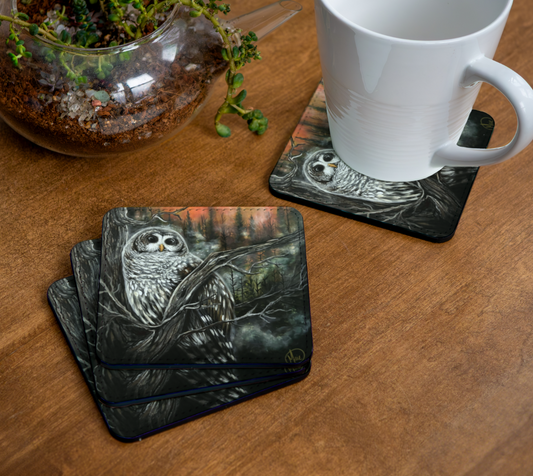 4 Sous-verres Chouette