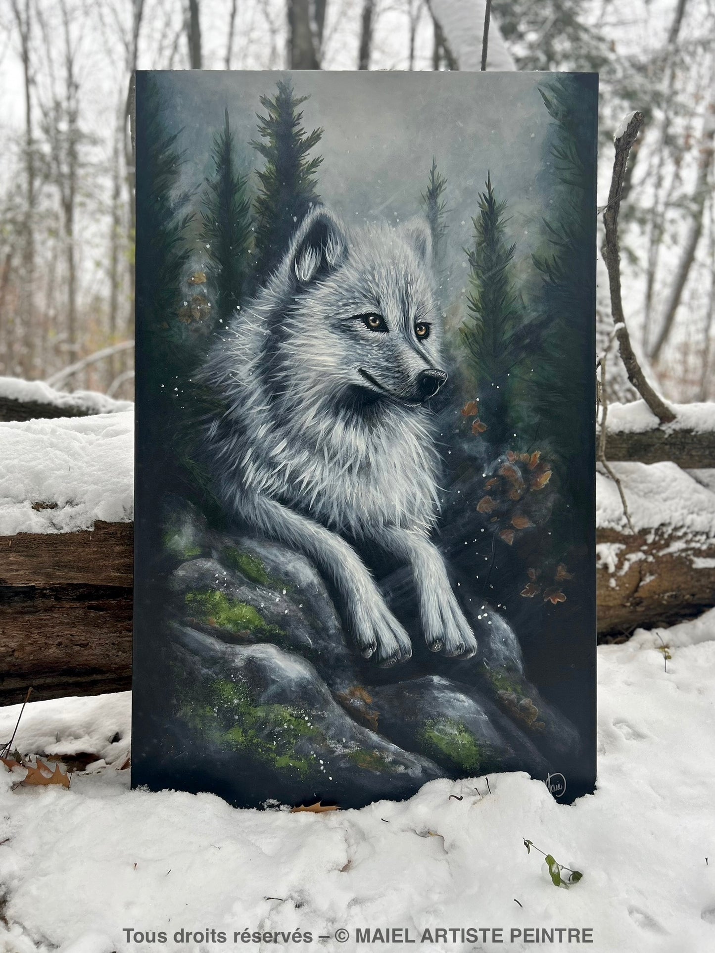 L’APPEL DU SILENCE