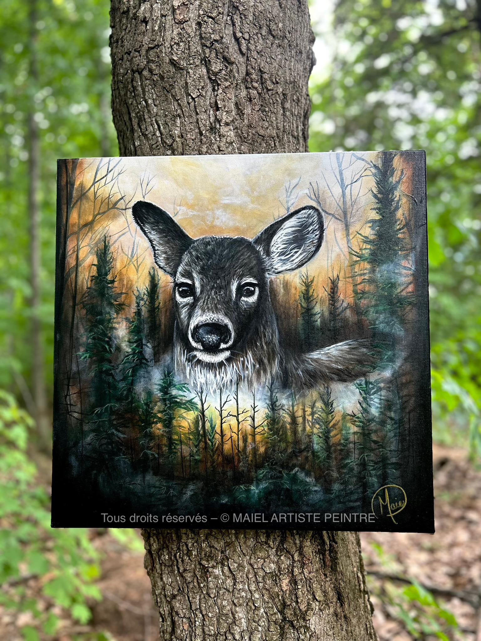 Charger la vidéo : 