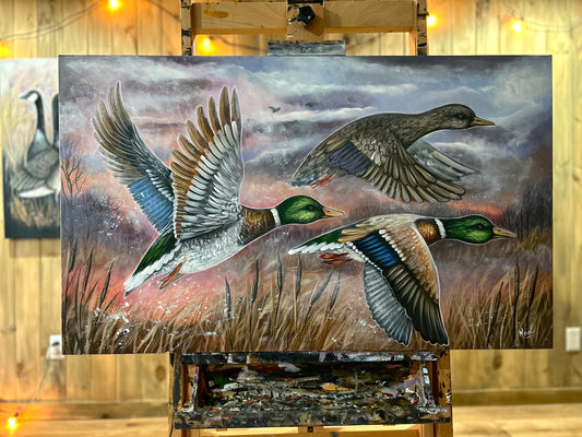 WILD FREEDOM