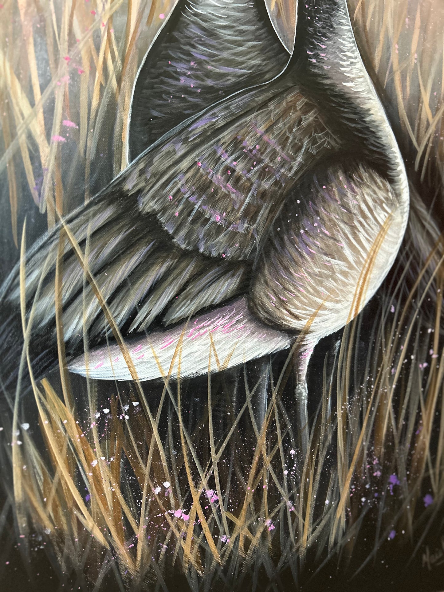 Spring migration