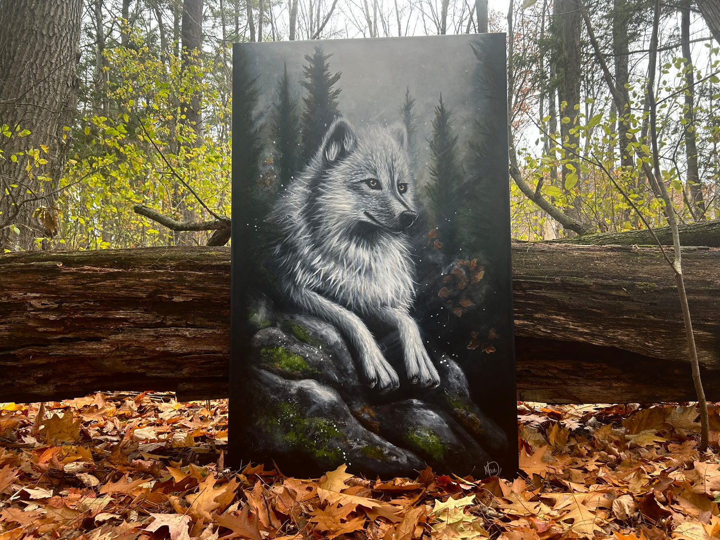 L’APPEL DU SILENCE