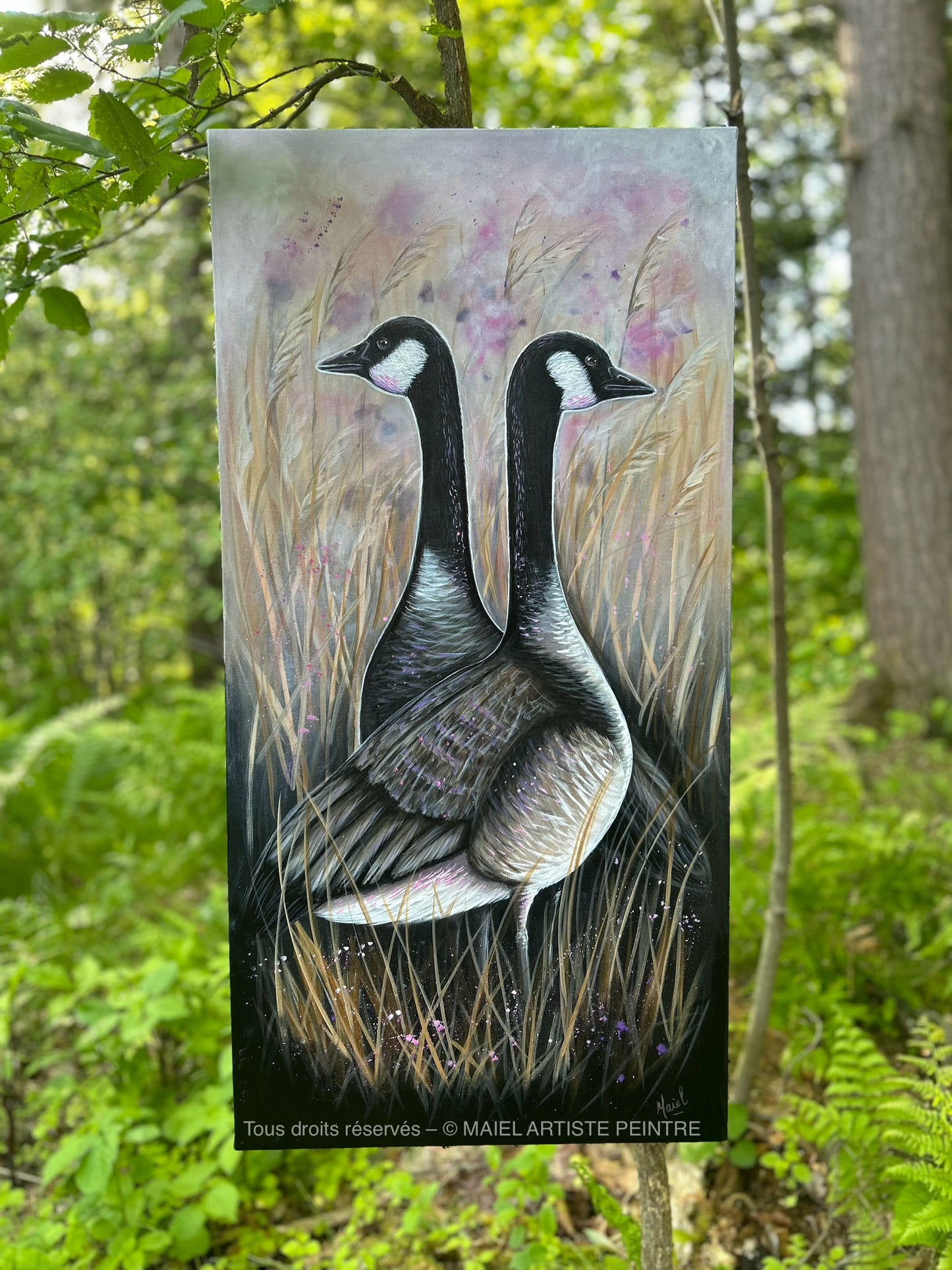 Spring migration