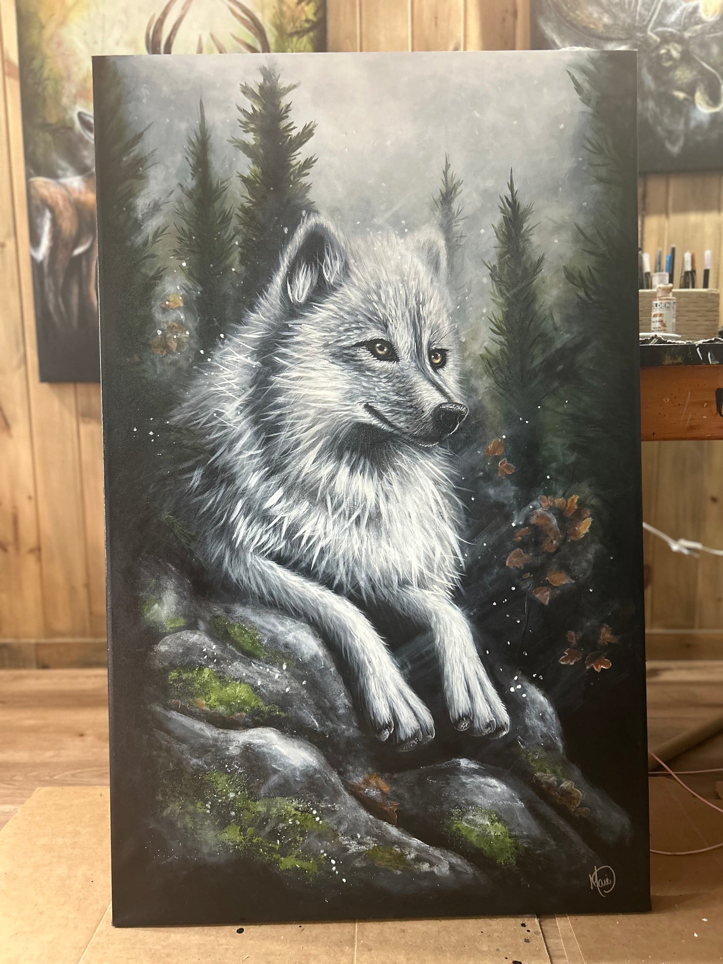 L’APPEL DU SILENCE