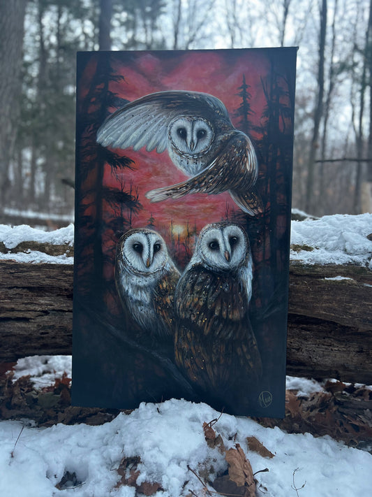 LES VEILLEUSES DE LUMIÈRE