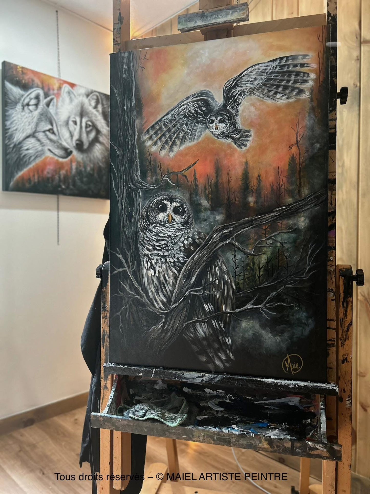 VEILLEURS DE CRÉPUSCULE