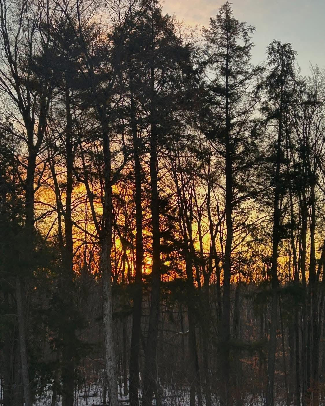 LE SILENCE AVANT LOMBRE