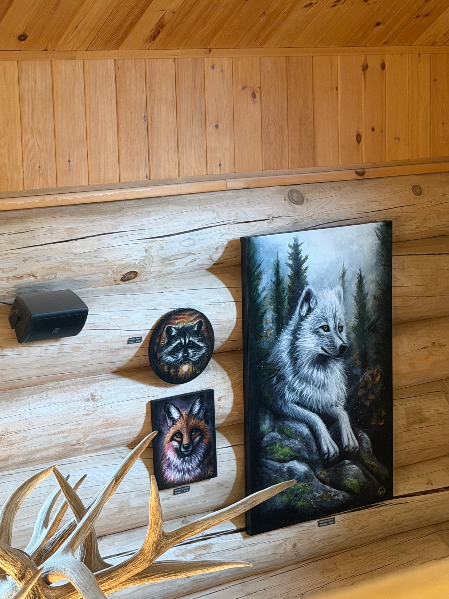 L’APPEL DU SILENCE                    *Disponible au Parc Oméga, à Montebello*
