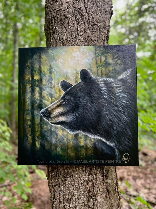 LUMIÈRE DE SOUS BOIS