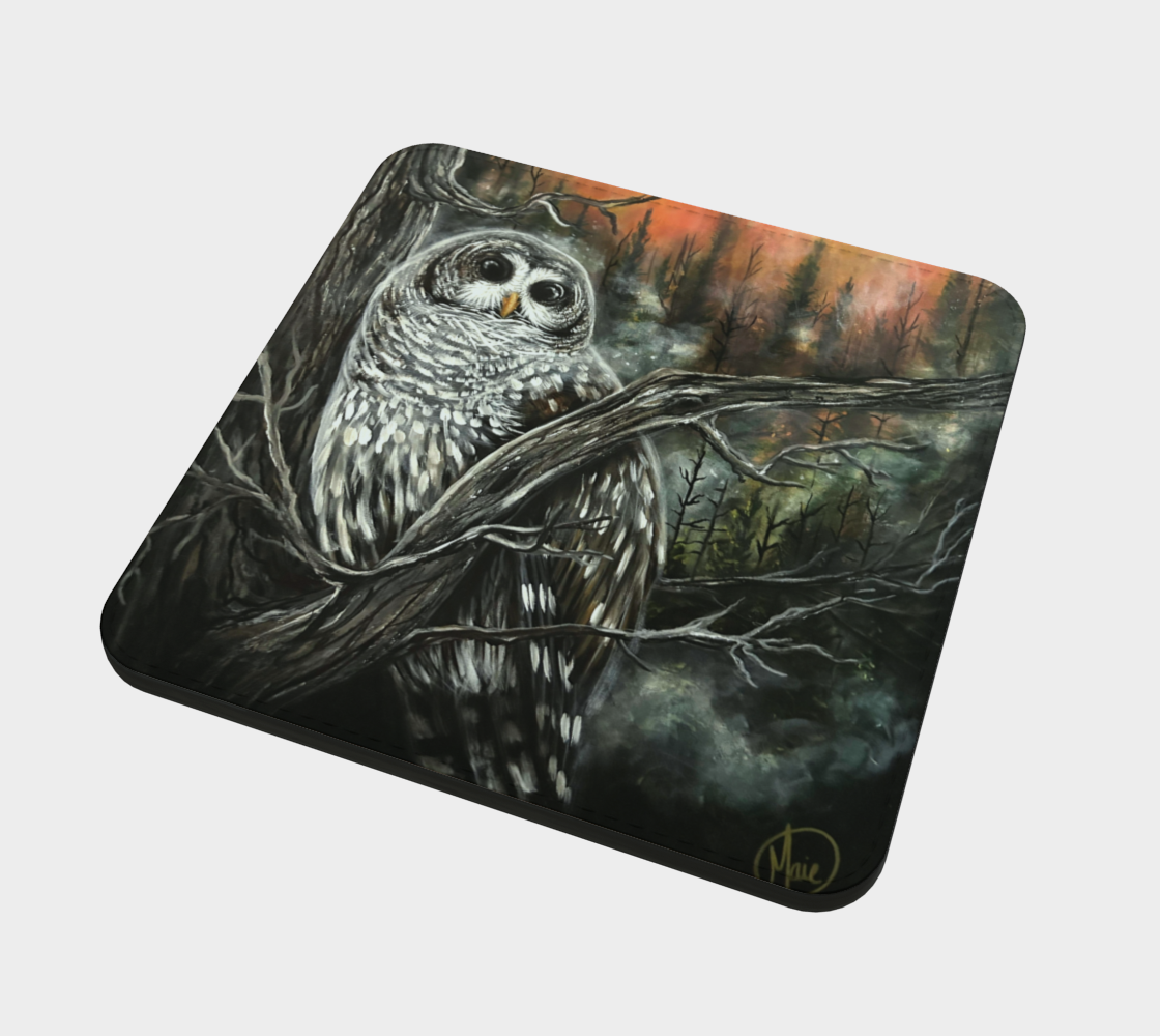4 Sous-verres Chouette